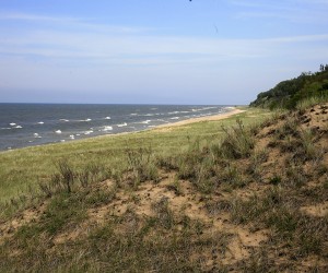 White River Twp Barrier Dune Preserve_courtesy watershedwildlife dot com White River Twp Barrier Dune Preserve