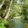 McGlashen fishing Up North