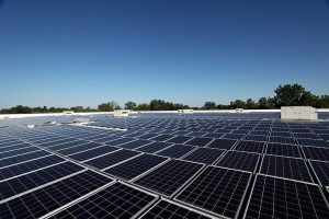 solar panels Photo: Logan Chadde