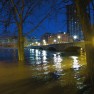 Flooded Grand River