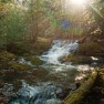 Upper Peninsula creek