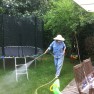 Spraying pesticide
