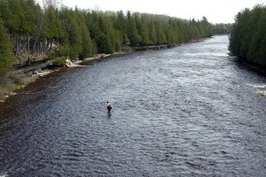 Fishing UP river