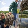 DNR osprey