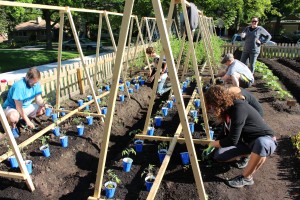 Vivant garden.