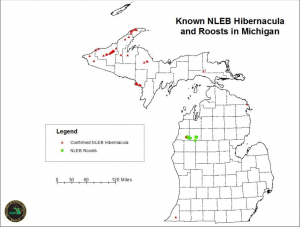 Known NLEB hibernacula and roosts