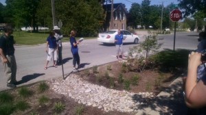 A rain garden in Sutton's Bay