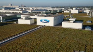 The Living Roof Ford's green roof