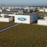 Ford's green roof