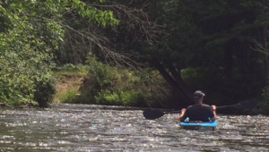 Gov. Snyder kayaking Black River in PRC Gov. Snyder kayaking Black River in PRC